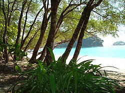 Quepos
